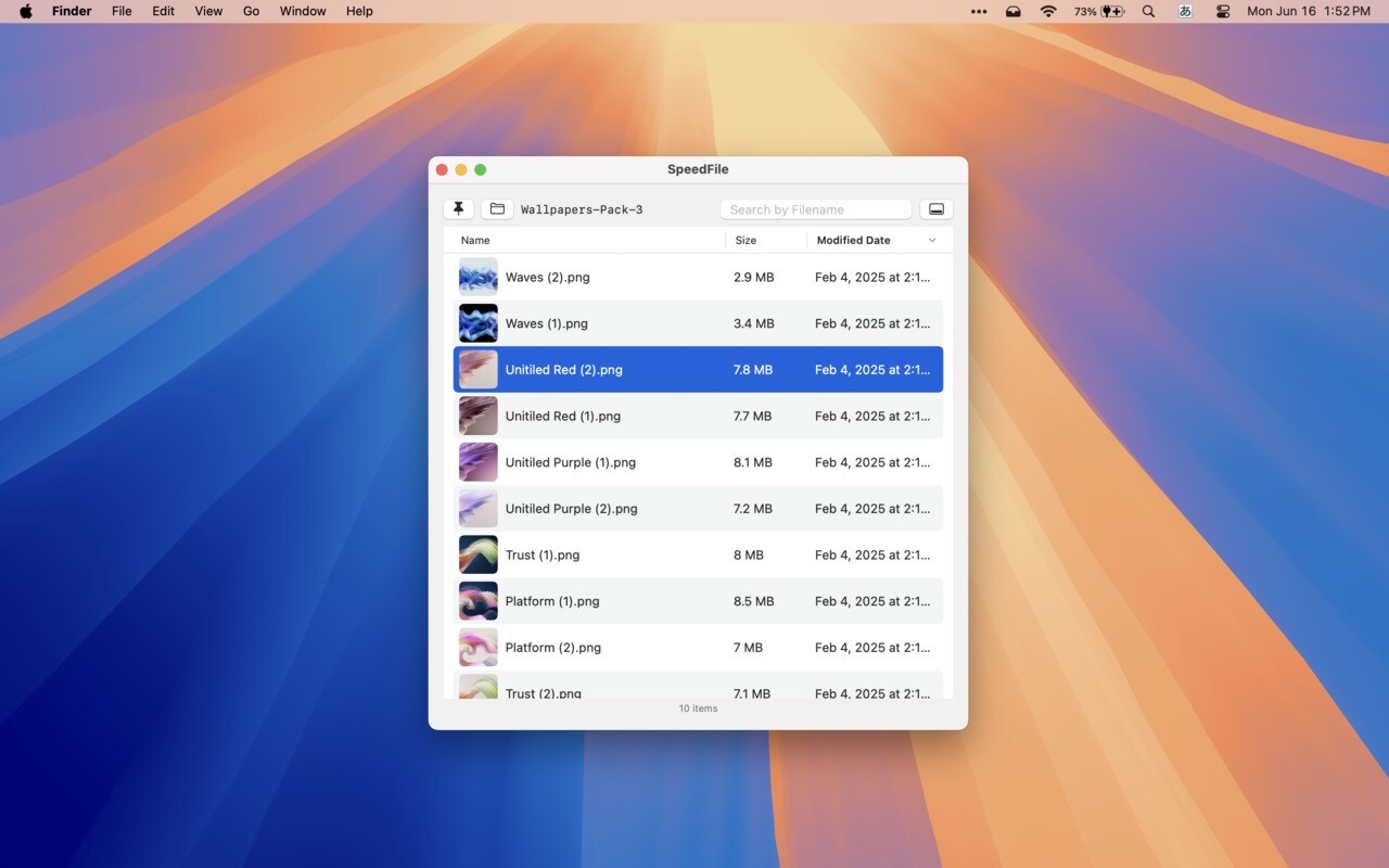 SpeedFile search functionality